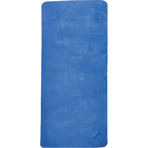 Chill-Its 6601 Economy Evaporative Cooling Towel, Blue TGS INDUSTRIEL