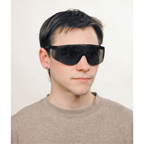 Lunettes de s&eacute;curit&eacute; Tacoma, Lentille Grise/fum&eacute;e, Anti-&eacute;gratignures, ANSI Z87+ TGS INDUSTRIEL
