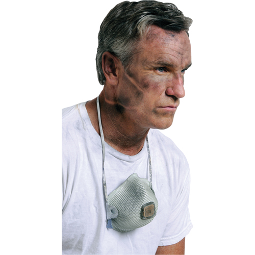 Respirateurs  contre les particules 2700, N95, Certifi&eacute; NIOSH, Grand/Moyen TGS INDUSTRIEL