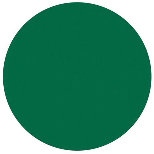 &eacute;tiquettes rondes inscriptibles, Cercle, 3" lo x 3" la, Vert TGS INDUSTRIEL