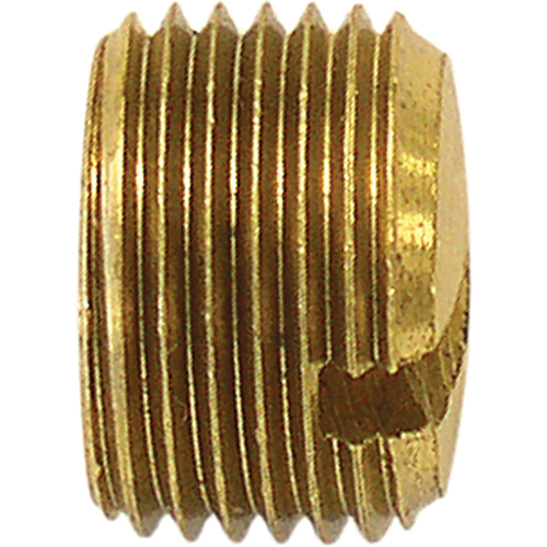 Bouchon de tuyau (avec fentes), 1/4" dia., Laiton TGS INDUSTRIEL
