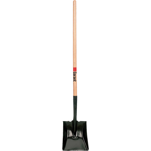 Pelle carr&eacute;e, Bois, Lame Acier durci, Manche en Droit, Longueur 42" TGS INDUSTRIEL