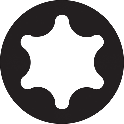 Embout de rechange pour tournevis multi embouts Sixpac Plus, Torx s&eacute;curit&eacute;, 20, Prise 1/4" TGS INDUSTRIEL