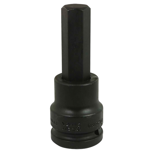 Impact Bit Socket, Hex, 19 mm x 3/4" Drive TGS INDUSTRIEL