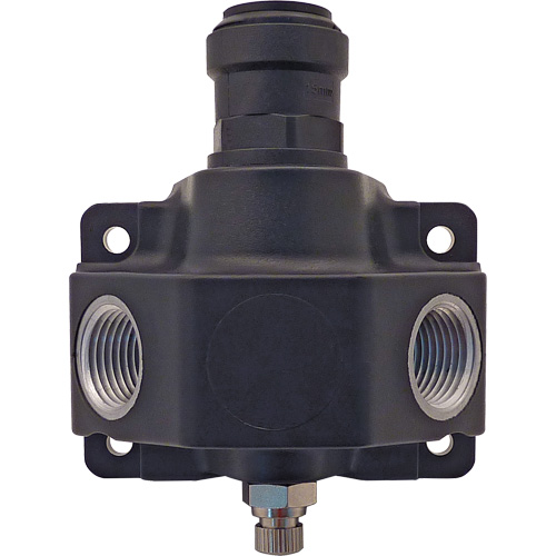 Push-to-Connect Air Line Manifold TGS INDUSTRIEL