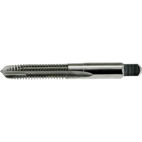 Taraud &agrave; pointe spiral&eacute;e DRILLCO, Acier rapide, Filet de M1,6x0,35 TGS INDUSTRIEL