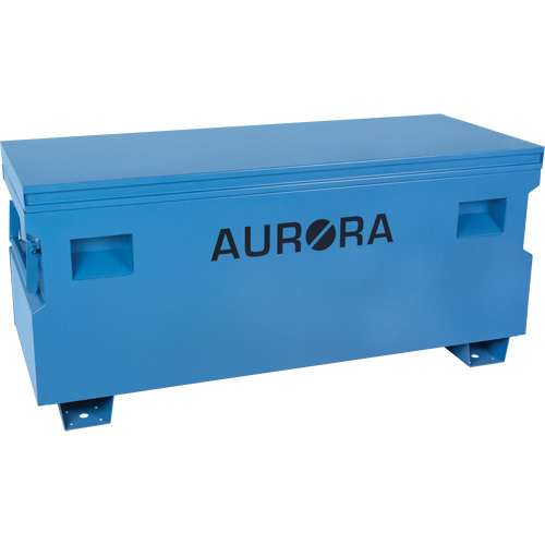 Coffre &agrave; outils de chantier, 60" x 24" x 27-1/2", Acier, Bleu TGS INDUSTRIEL