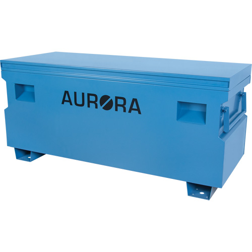 Coffre &agrave; outils de chantier, 60" x 24" x 27-1/2", Acier, Bleu TGS INDUSTRIEL