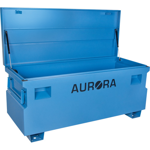 Coffre &agrave; outils de chantier, 60" x 24" x 27-1/2", Acier, Bleu TGS INDUSTRIEL