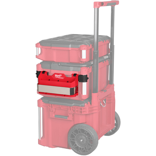 Support d'accessoires pour boîte &agrave; outils PACKOUT TGS INDUSTRIEL