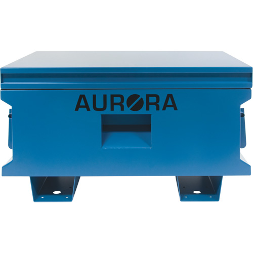 Coffre &agrave; outils de chantier, 33" x 20-3/10" x 18-3/10", Acier, Bleu TGS INDUSTRIEL