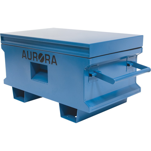 Coffre &agrave; outils de chantier, 33" x 20-3/10" x 18-3/10", Acier, Bleu TGS INDUSTRIEL