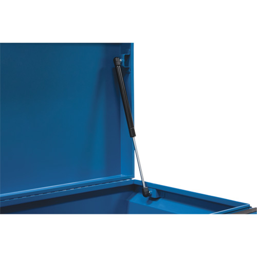 Coffre &agrave; outils de chantier, 33" x 20-3/10" x 18-3/10", Acier, Bleu TGS INDUSTRIEL