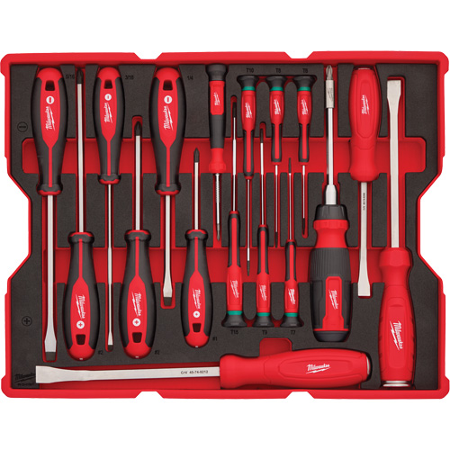 Jeu de tournevis et de leviers avec organisateur pour tiroirs PACKOUT, 17, Magn&eacute;tique TGS INDUSTRIEL