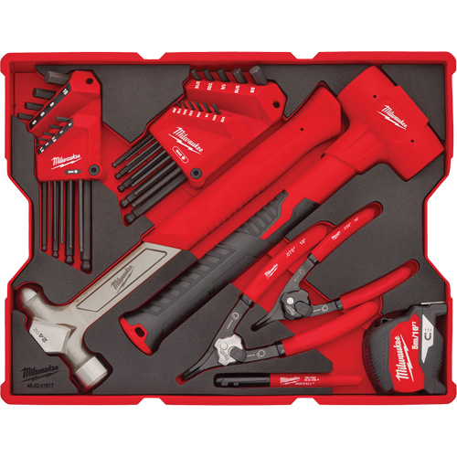 Hex Key & Hammer Set with Tray for PACKOUT Drawers TGS INDUSTRIEL