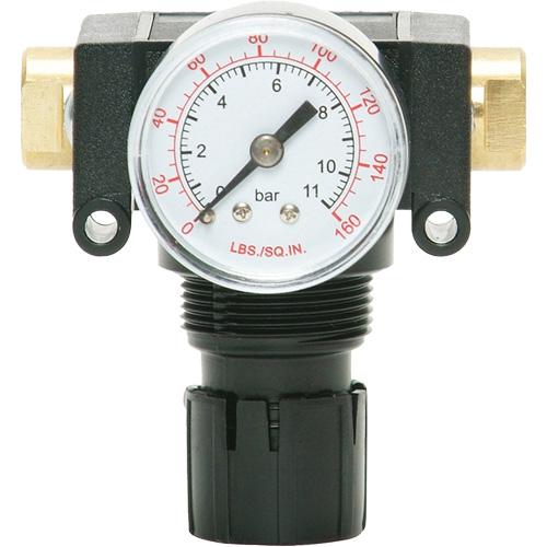 MODULAIR 200 Acetal Piston Regulator, 1/4" NPT, 150 PSI Max. PSI, In Line/Modular TGS INDUSTRIEL