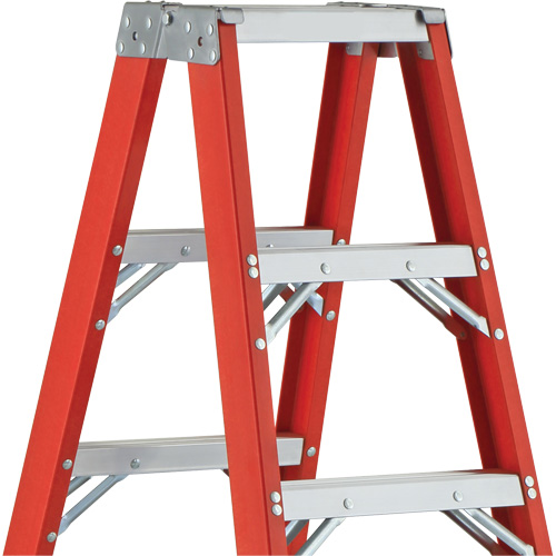 6600 AA Series Industrial Extra Heavy-Duty 2-Way Stepladders, Fibreglass, 375 lbs. Capacity, 4' TGS INDUSTRIEL