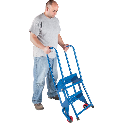 Portable Folding Ladder, 2 Steps, Perforated, 20" High TGS INDUSTRIEL