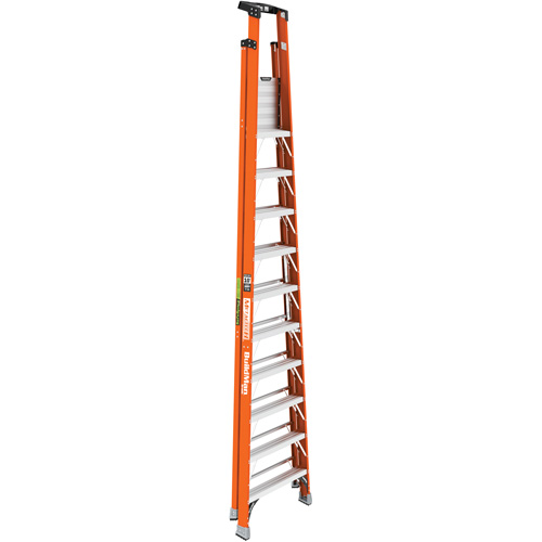 Escabeau avec plateforme Safespace, 10', Cap. De 300 lb TGS INDUSTRIEL