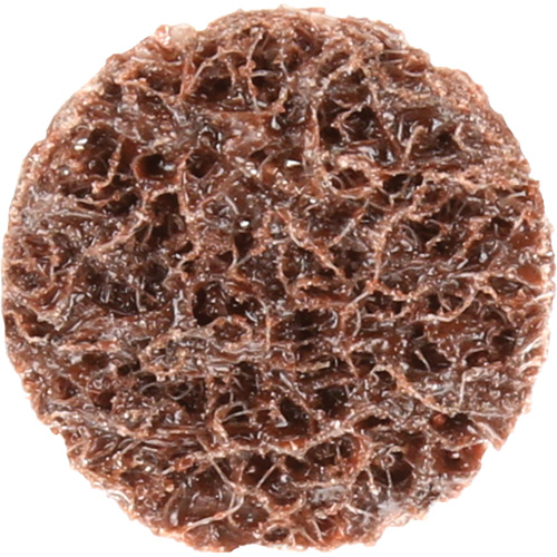 Disque de conditionnement de surface &agrave; remplacement rapide Standard Abrasives, 3/4" dia., Grain Cors&eacute;, Oxyde d'aluminium TGS INDUSTRIEL