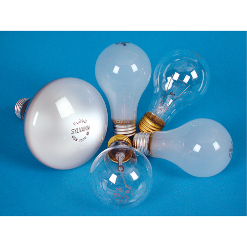 LAMPE INCANDESCENTE,25W,130V,GIVREE,2/PQT TGS INDUSTRIEL