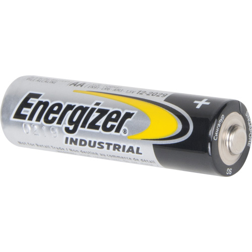 Alkaline Industrial Batteries, AA, 1.5 V TGS INDUSTRIEL