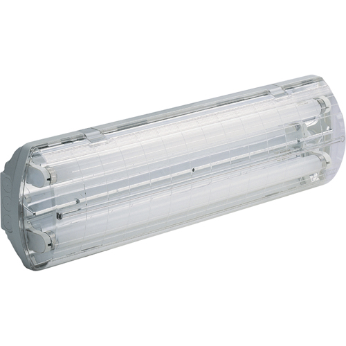 Illumina&reg; BS100 Series Vapor-Tight Light, Polycarbonate, 120 V TGS INDUSTRIEL