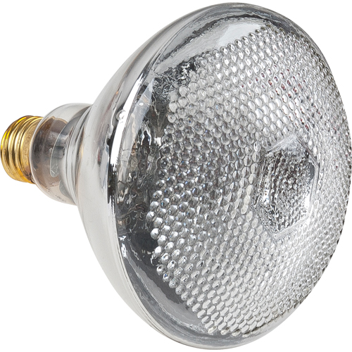 Economy Line Incandescent Lamps TGS INDUSTRIEL