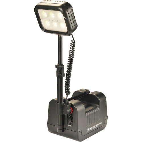 9430 Remote Area Lighting Systems, LED, 3000 Lumens, Plastic Housing TGS INDUSTRIEL