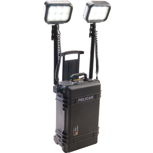 9460 Remote Area Lighting Systems, LED, 12,000 Lumens, Plastic Housing TGS INDUSTRIEL
