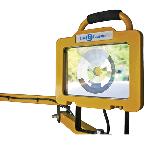 Heavy-Duty Dock Light, 40" Arm, 38 W, LED Lamp, Metal TGS INDUSTRIEL