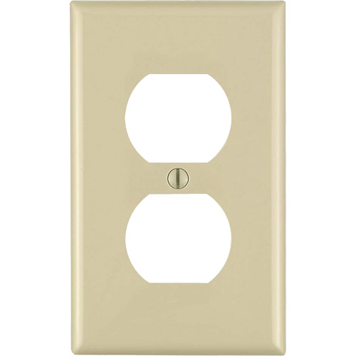 Duplex Wall Plate TGS INDUSTRIEL