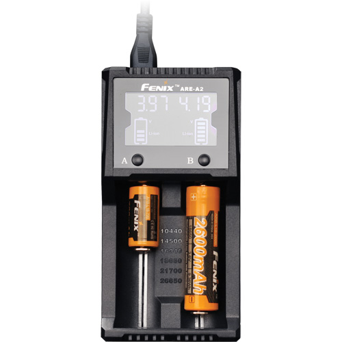 Chargeur de batterie &agrave; deux canaux ARE-A2 TGS INDUSTRIEL