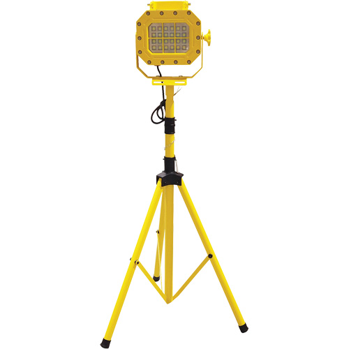 Explosion Proof Floodlight with Tripod, LED, 40 W, 5600 Lumens, Aluminum Housing TGS INDUSTRIEL