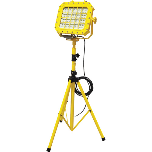 Explosion Proof Floodlight with Tripod, LED, 40 W, 5600 Lumens, Aluminum Housing TGS INDUSTRIEL