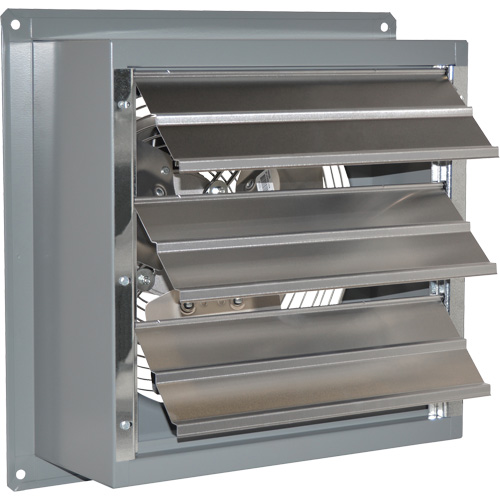Ventilateur d'&eacute;chappement standard SD TGS INDUSTRIEL