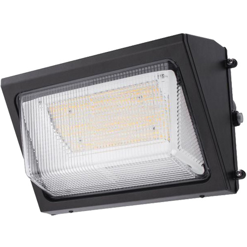 Wall Pack Light Fixture, LED, 120 -347 V, 80 W TGS INDUSTRIEL
