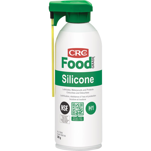 Lubrifiants au silicone pour la transformation alimentaire, Canette a&eacute;rosol TGS INDUSTRIEL