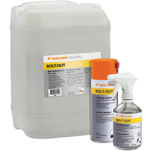 Lubrifiant d&eacute;grippant Bolt-Out, Canette a&eacute;rosol TGS INDUSTRIEL
