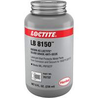 Silver Grade Anti-Seize, Brush Top Can, 1600°F (871°C) Max. Temp. TGS INDUSTRIEL