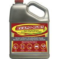 Evapo-Rust&reg; Super Safe Rust Remover, Jug TGS INDUSTRIEL