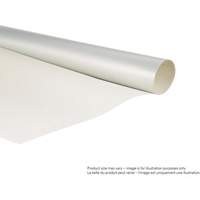 Ruban double face, 25,4 mm (1") la x 55 m (180') lo, 6,7 mils TGS INDUSTRIEL