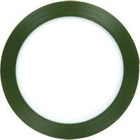 Polyester Tape, Polyester, 25.4 mm (1") W x 66 m (216') L, 1.9 mils Thick TGS INDUSTRIEL