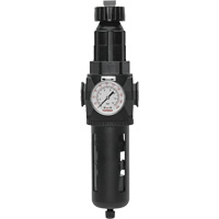 Modulair 400 Filter/Regulator with Manual Drain, 3/4" NPT, 200 psi, 9.1 fl. oz. Capacity TGS INDUSTRIEL