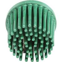 Disques bristle Roloc, Grain 120, 1" dia. TGS INDUSTRIEL