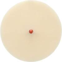 Disque Scotch-Brite 7502 pour retrait de colle et de bandes de moulage, 6" dia. TGS INDUSTRIEL