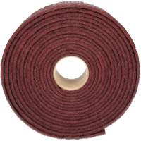 Ruban de nettoyage et de finition Scotch-Brite, Fin, 4" la x 30' lo TGS INDUSTRIEL