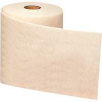 Ruban de nettoyage et de finition Scotch-Brite, Tr&egrave;s fin, Oxyde d'aluminium, 4" la x 30' lo TGS INDUSTRIEL