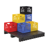 Caisse en plastique pour produits laitiers TGS INDUSTRIEL