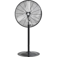 Oscillating Pedestal Fan, Heavy-Duty, 2 Speed, 30" Diameter TGS INDUSTRIEL